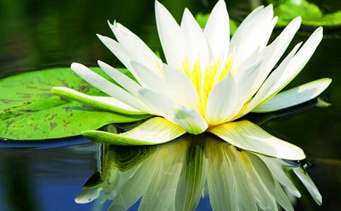 ˯��Сѧ����