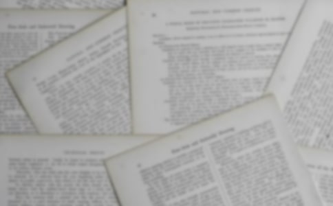 ����������˵�θ�[��]