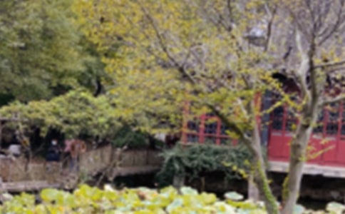 ����԰�ֵ��δʺϼ�15ƪ