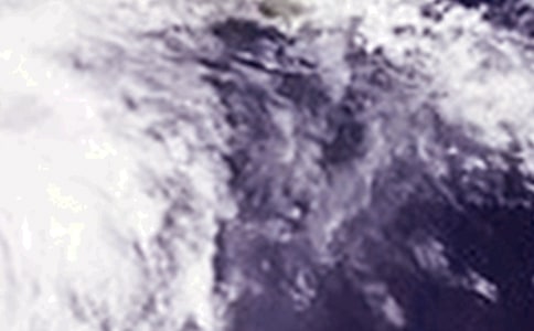 关于台风的日记