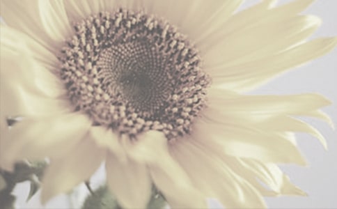 (优秀)《神奇的太阳花女孩》读后感