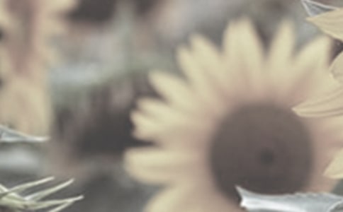 ̫�����ռ�