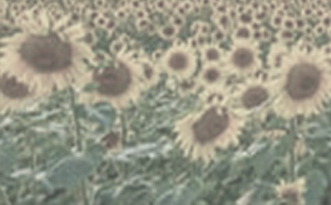 ��̫����Ů��������У�ͨ��20ƪ��