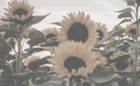 �����̫����Ů�������8ƪ[��ѡ]