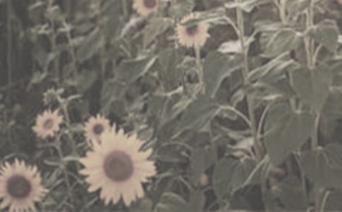 ��д̫�����ľ���