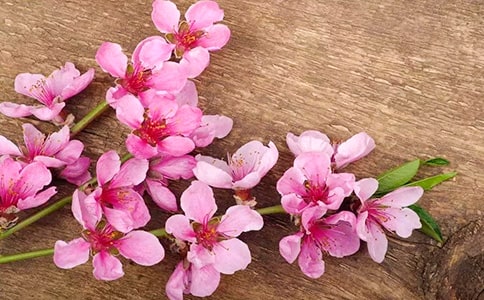 �һ���ľ˵�θ�