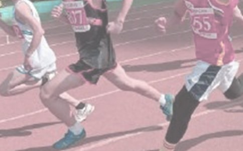 �ﾶѵ�������ܽ�12ƪ���ϼ���