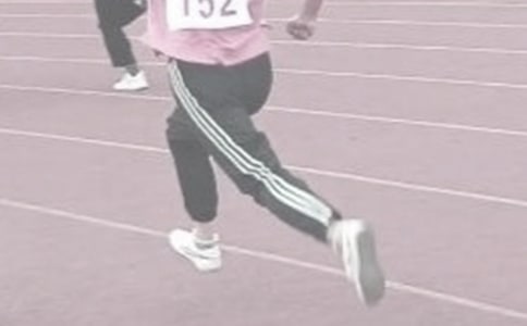 �ﾶ�����ۺ��