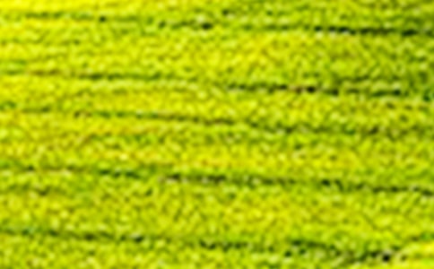 田野即景五年级作文