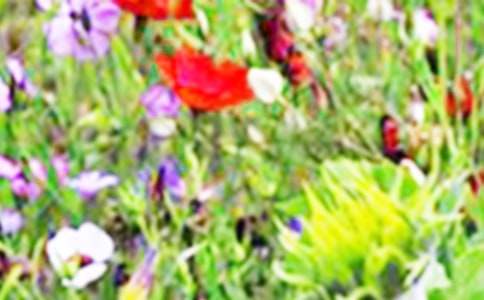 �����ٶ������Ұ���˻������������