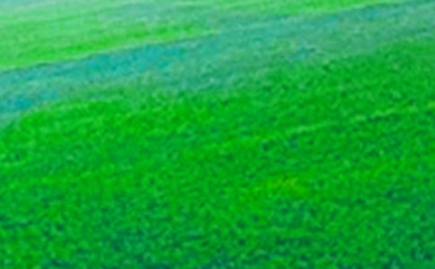 《我们的田野》的教学反思