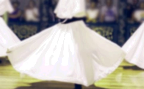 ����������տ������