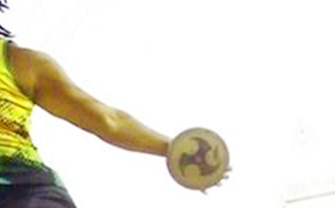 �������͸壨������