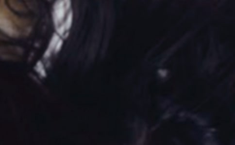 ��ͷ��ʨ�Ӷ����