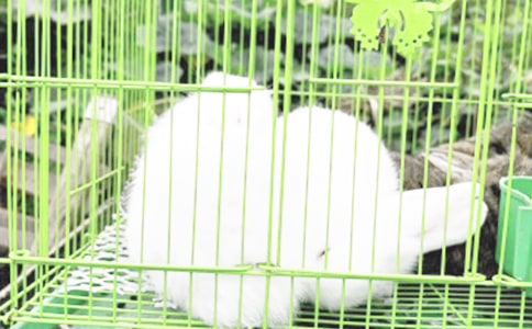 �������¡������[��Ʒ15ƪ]