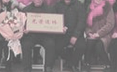 ����ο����13ƪ