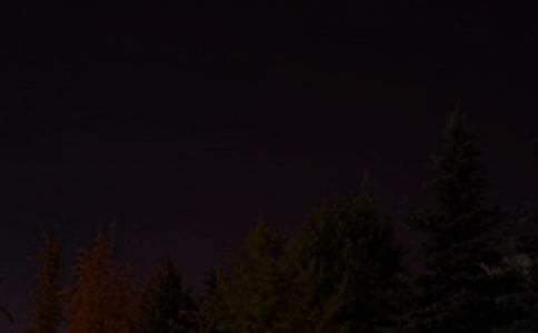 2025���й����õ������ʺ���ժ¼56��