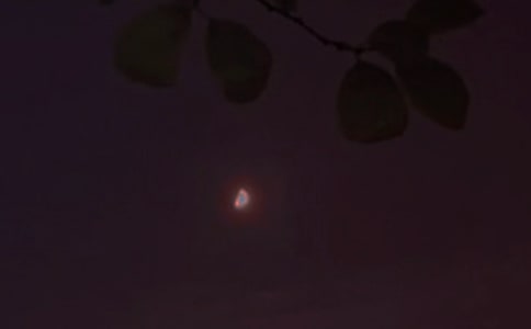 2024��򵥵�Ψ���������ʺ������30��