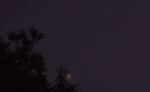 【热门】温馨的晚安问候语语录39条