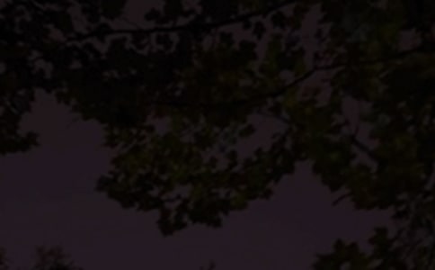 2025年通用温暖的晚安QQ问候语大合集58句