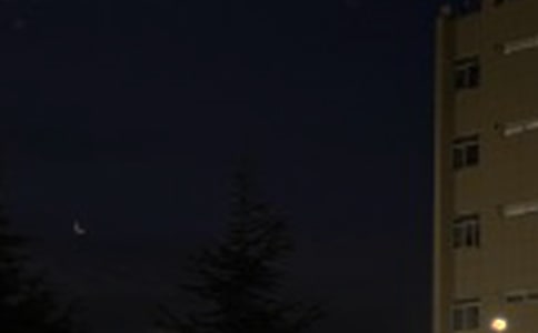 �򵥵�Ψ���������ʺ�����ż���59��