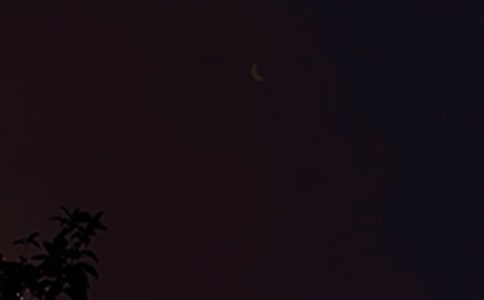 �����š�Ψ��������QQ�ʺ���ϼ�82��