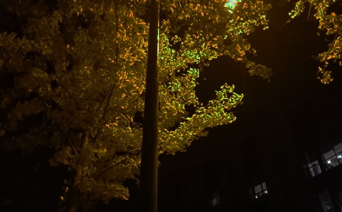 ������־��������30��