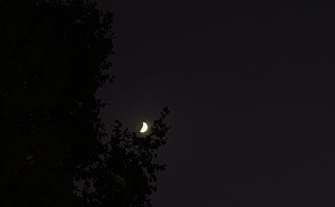 【热门】2025年治愈系晚安朋友圈问候语摘录56句