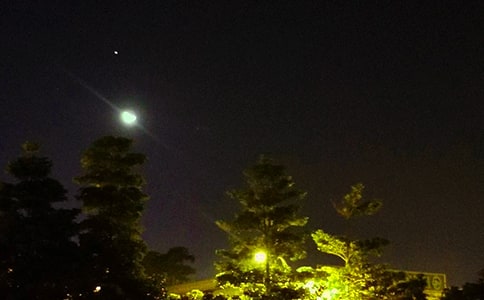 ��ѡ����ϵ����QQ�ʺ�����74��