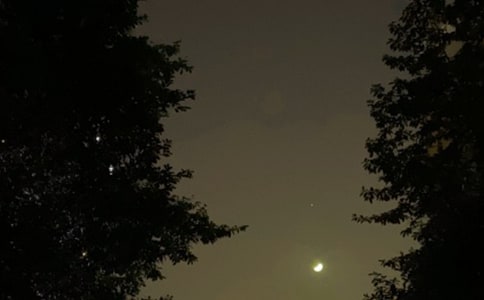 简洁的优美的晚安问候语语录45句