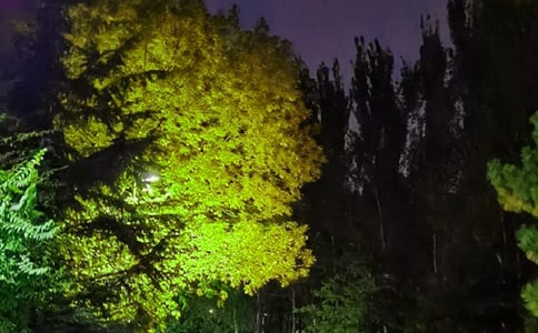 ��������ϵ����QQ�ʺ��Ｏ��72��