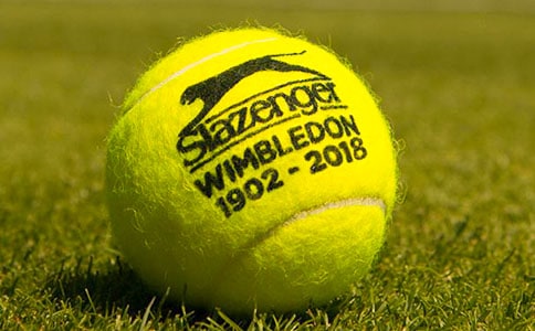 �����ĵ����