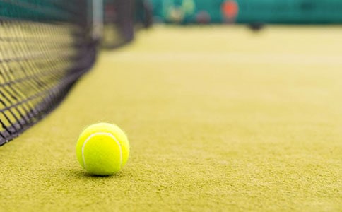 ��������ĵ����