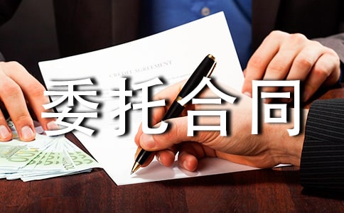 技术开发委托合同范本9篇