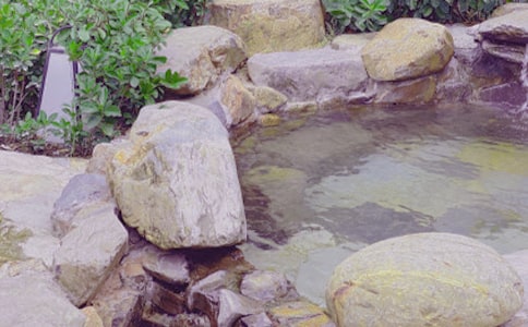 ����Ȫ���꼶����