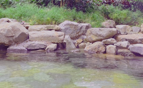 ����ȪСѧ����