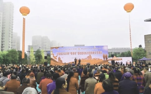 �����ݳ���ͬ(10ƪ)