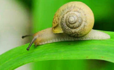 ��С��ţ����ѧ��˼(15ƪ)