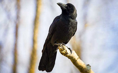 ����ѻ��ˮ����ѧ��˼15ƪ