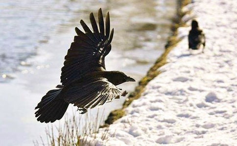 ����ѻ��ˮ����ѧ��˼(��ѡ15ƪ)