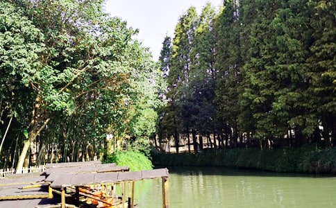 �㽭�����δ�