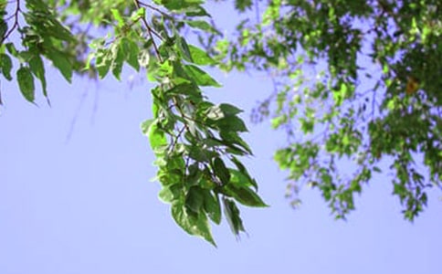 2023年温暖的午安QQ问候语大合集57条