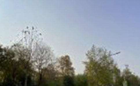 2023年美好的午安QQ问候语46句