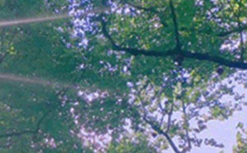 2023年美好的午安问候语集合39句