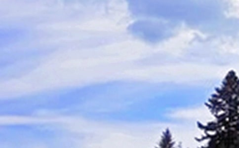 2025���簲�ʺ�����Ŵ�ϼ�94��