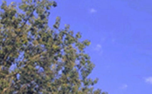 午安问候语短信48条