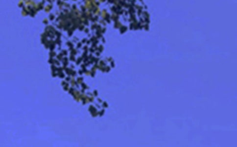 午安QQ问候语锦集41条