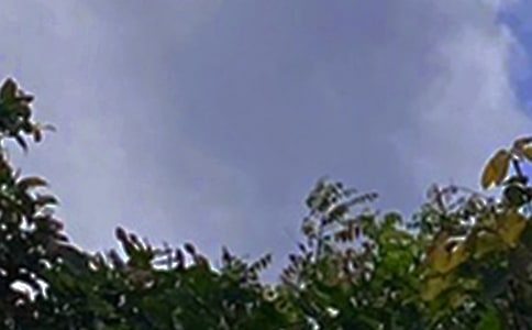 2023年唯美的午安问候语大汇总56句