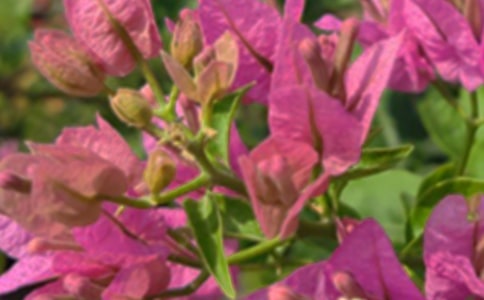 ����ϵ�簲�ʺ�����Ŵ󼯺�66��