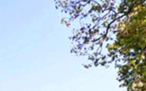 �������簲΢���ʺ��Ｏ��84��